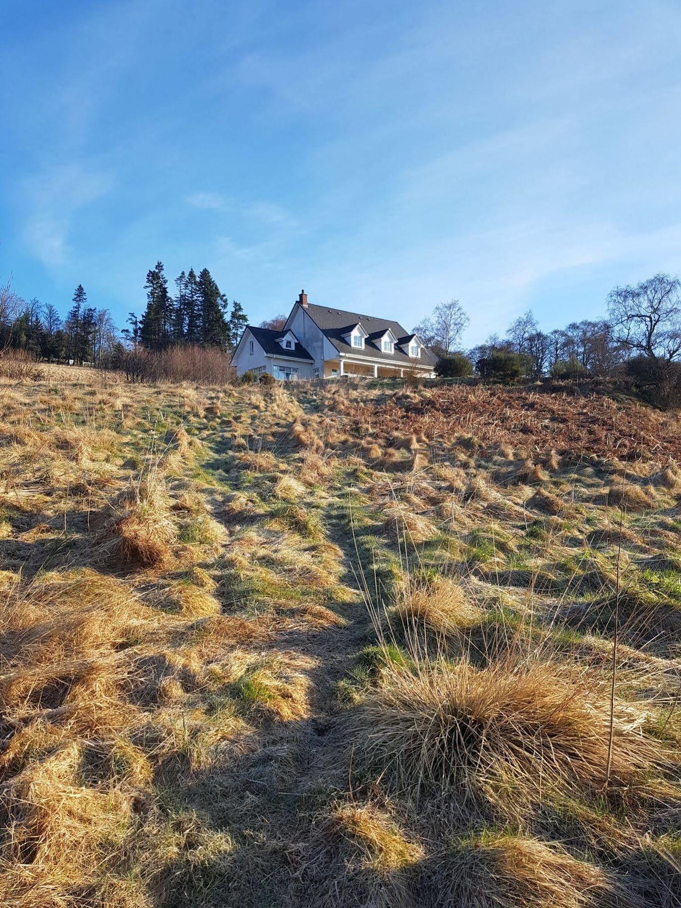 The Highlander Bed and Breakfast Inverness Buitenkant foto